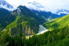 homestay in harsil uttarakhand